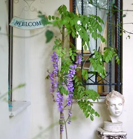 Ephesus Suites אורחן סלצ'וק